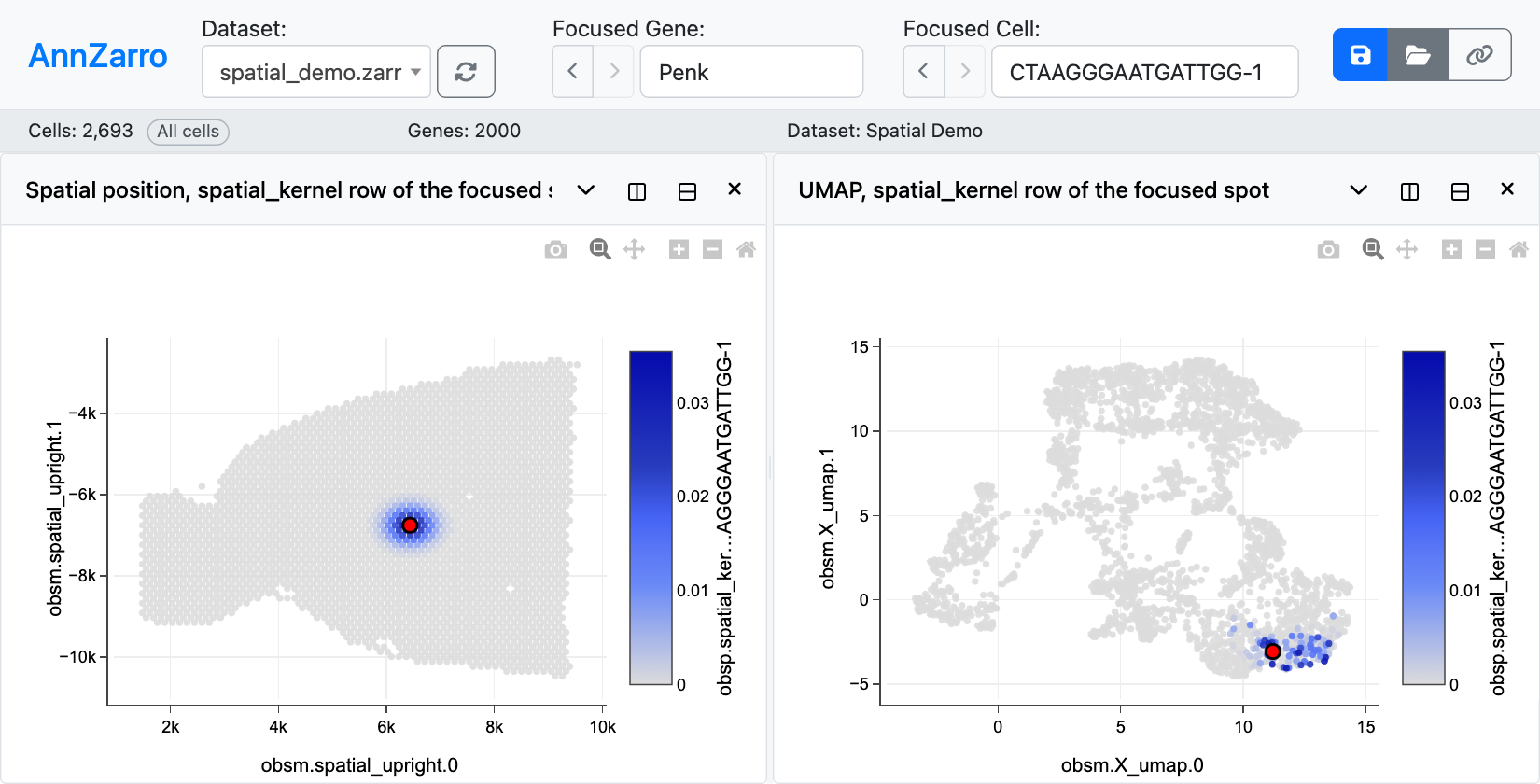 Left, the spatial_kernel row on spatial coordinates; right, the same row on the UMAP of the spots.