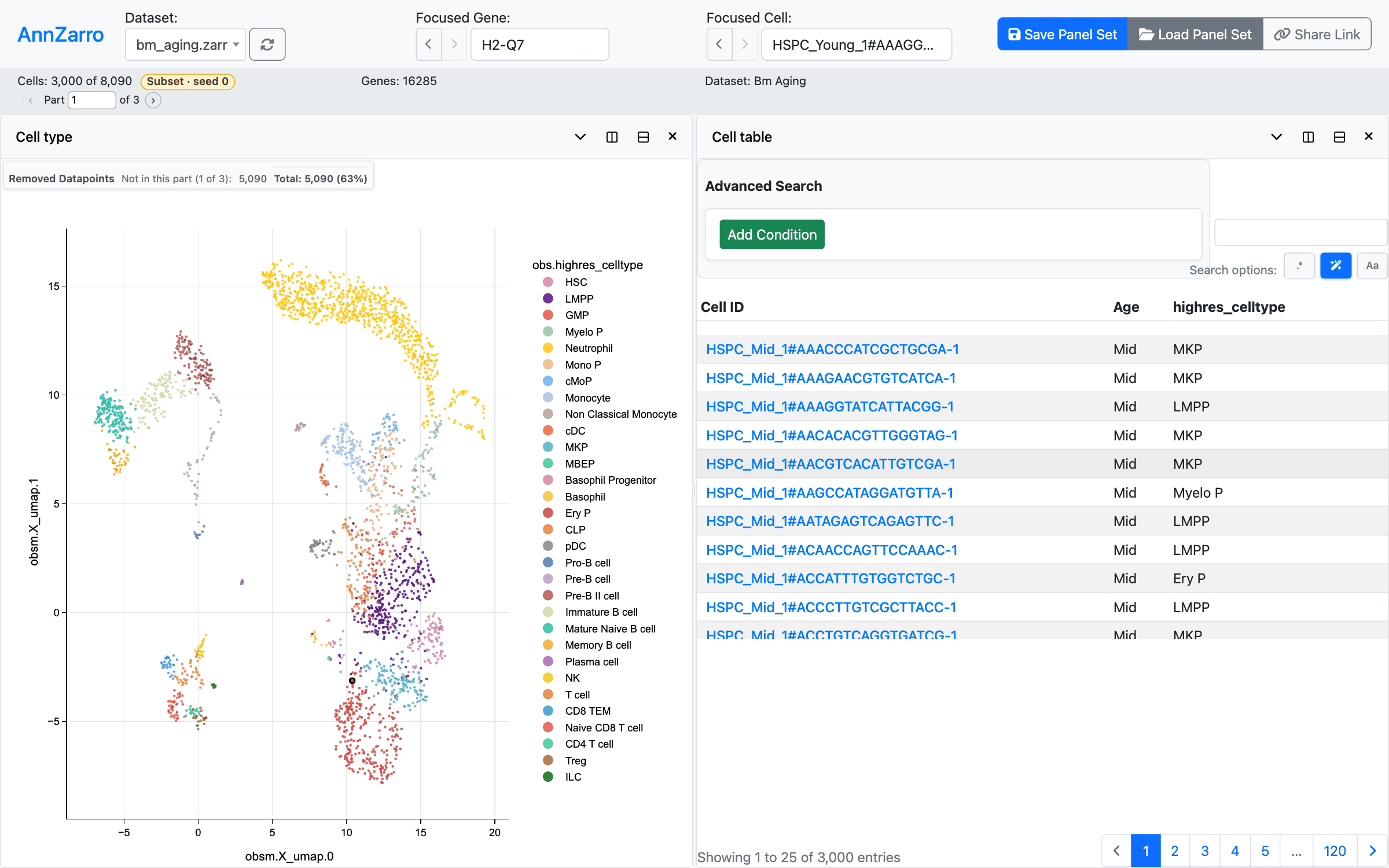 The app with the subset applied: "Cells: 3,000 of 8,090" and the badge "Subset · seed 0" in the statistics bar, a UMAP with fewer points coloured by cell type and a Removed Datapoints box "Total 5,090 (63%)", and a cell table "Showing 1 to 25 of 3,000 entries".